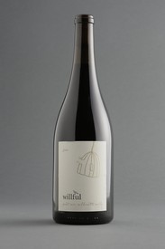 2022 Willamette Valley Pinot Noir