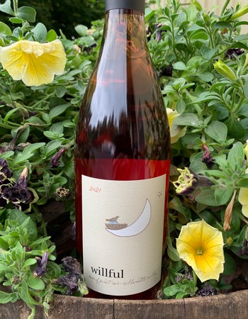 2022 Rosé of Pinot Noir