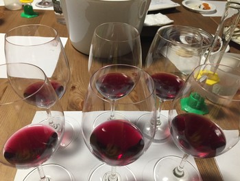Winemaker Experience