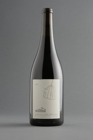 2020 Willamette Valley Pinot Noir - new release!