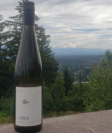 Willful Wine Co - Shop Our Wine