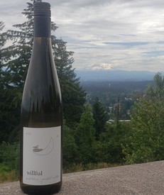 2020 Pinot Blanc