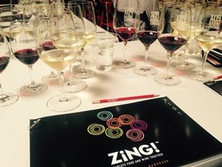 ZiNG! Workshop